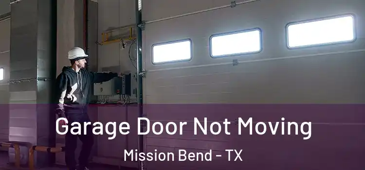  Garage Door Not Moving Mission Bend - TX